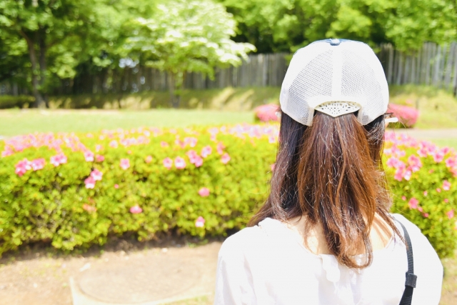 サイト管理人アライグマ